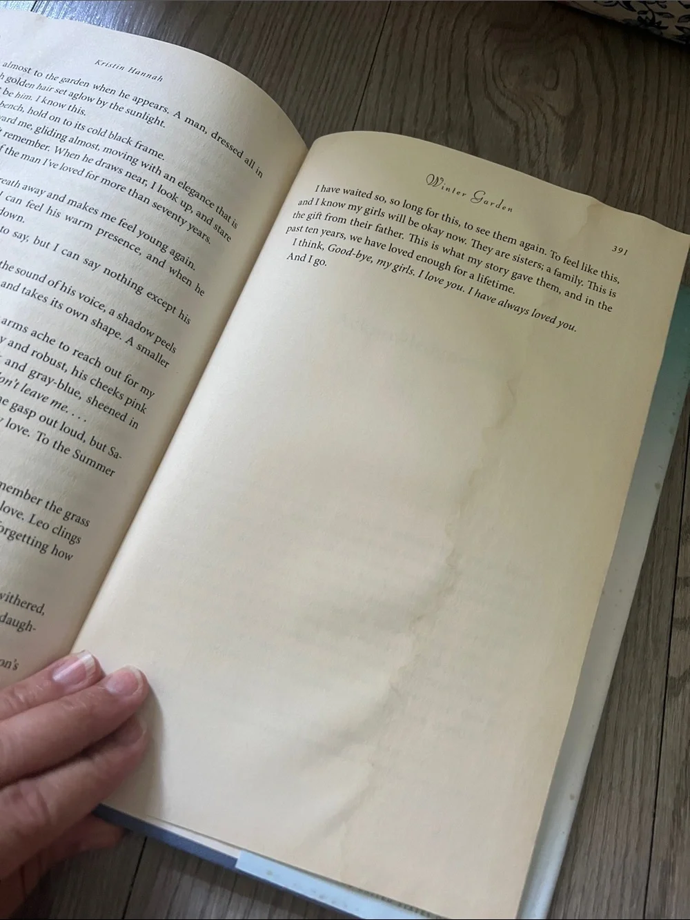 Winter Garden by Kristin Hannah - Soft Teal & Cream Hardcover